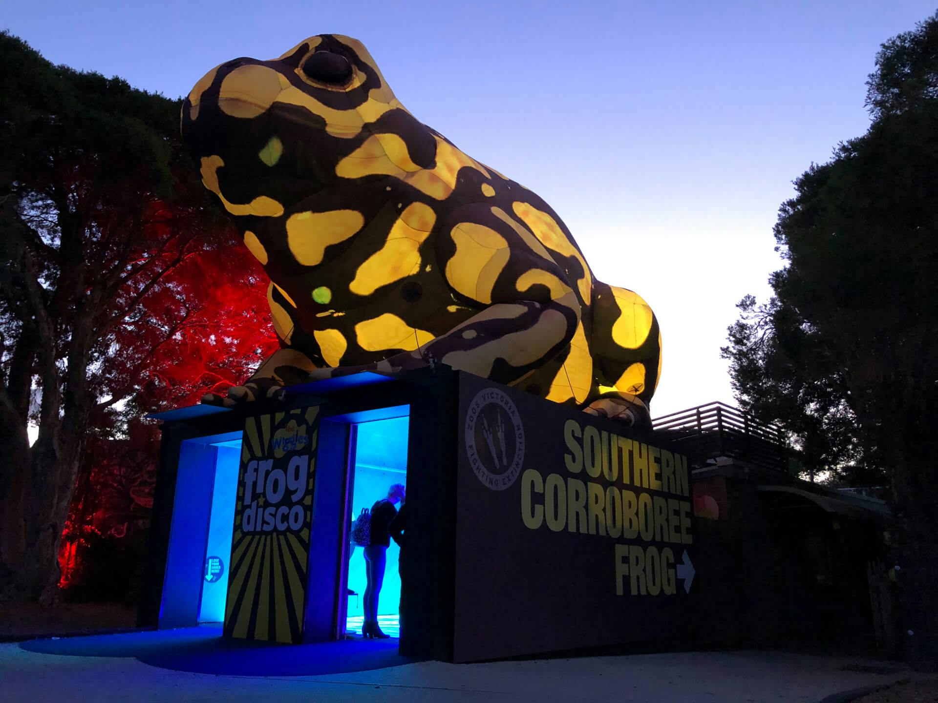 Exterior of Coroboree Frog